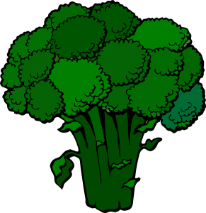 Broccoli PNG-72904